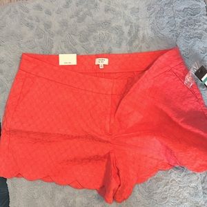 Crown and Ivy shorts